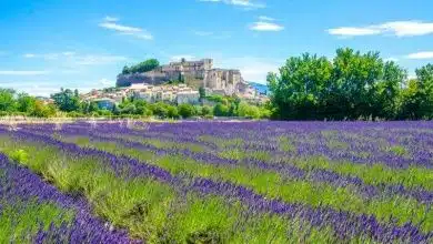 Provence